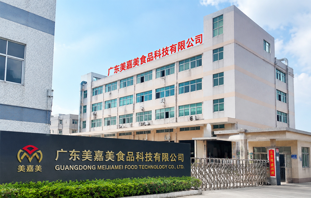 广东美嘉美食品科技有限公司